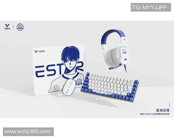 王者荣耀战术解析V5战队防反体系的深度剖析与应用技巧